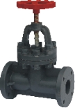 FRPP/CPVC/UPVC/PVDF/PPH Globe valve