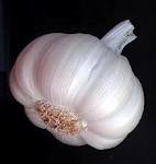 We supply best grade white and red garlic