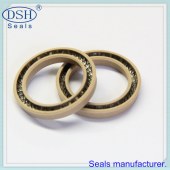 DSH Seals