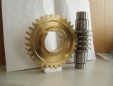 High quality Worm Gear