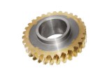 Composite worm gear