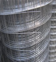 Hot dip galvanized welded wire mesh