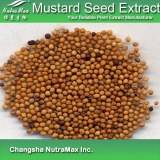 Mustard Seed Extract (sales07@nutra-max.com)