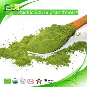 Organic Barley grass Powder/Juice Powder
