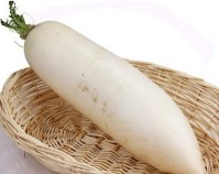 White turnip