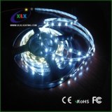 High quality S type led flexible strip for indoor mini letters