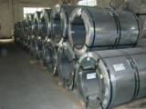 Galvatized steel coil/Galvatized steel sheet