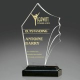 Wholesale acrylic awards trophy