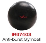 Strength Exercise Stability Ball with Pump
