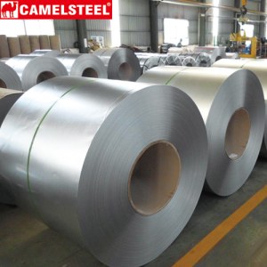 Galvanized steel coil