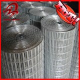 Welded wire mesh fencing(low price,high quality)