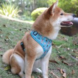 OKEYPETS Pet Supplies Safety Strong Adjustable Collar Dog Harness Custom Pattern Design...