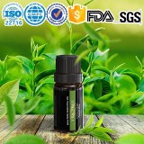 Chinese manufacturers produce and wholesale high quality 100% natural tea tree essential oil