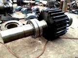 Pinion Shaft