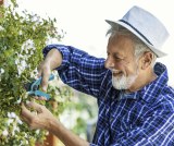 Suca Electric pruning shears types