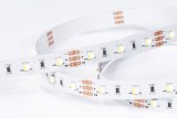 CCT Adjustable LED Strip