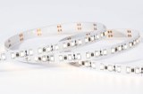 SMD 2835 120LEDM Led Strip light