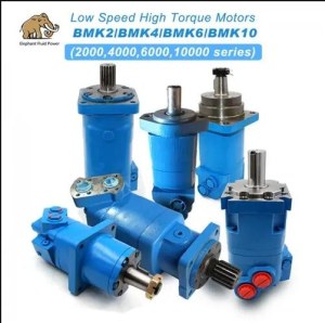 Low Speed High Torque Motors