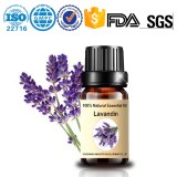 Factory wholesale Hybrid Lavender Essential Oil - Lavandula x intermedia 100%Natural