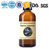 Factory wholesale Salvia japonica Essential Oil-Salvia japonica 100%Natural