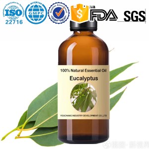 Factory wholesale Eucalyptus Essential Oil-Eucalyptus 100%Pure Natural OEM Aromatherapy...