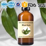 Eucalyptus globulus/Eucalyptus blue gum essential oil 100%Natural