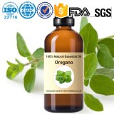 Oregano Essential Oil 100%Pure Natural