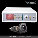 Digital endoscope