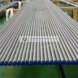 Stainless Steel Tube