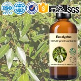 100% Organic Eucalyptus Essential Oil – Superior Purity and Quality