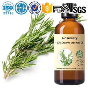 100% Organic Rosemary Essential Oil – Pure and Natural OEM