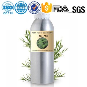 Factory wholesale Australian Tea Tree Essential Oil 100%Natural