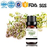 Chinese manufacturers produce and wholesale thyme 100% natural essential oil