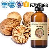 Factory wholesale Nutmeg/Myristica Essential Oil- Myristica fragrans 100%Natural