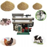 Pellet Making Machinery For Manufacturing Feed Pellets