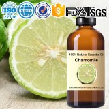 Factory wholesale Bergamot Essential Oil - Citrus bergamia 100%pure Natural