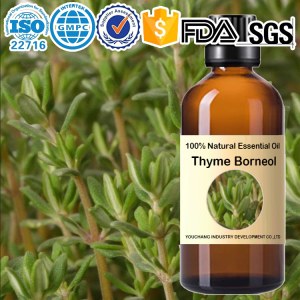 Factory wholesale Thyme Borneol Essential Oil 100%Natural