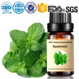 High quality 100% natural spearmint essential oil production and wholesale