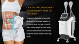 Best Slim Beauty Machine Emsculpt Supplier