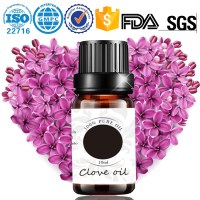 High quality 100% pure natural clove bud essential oil production and wholesale