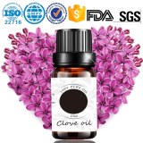 High quality 100% pure natural clove bud essential oil production and wholesale