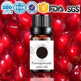 Factory wholesale Pomegranate Seed Oil -Punica granatum 100%Natural