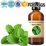 Factory wholesale Spicy Mint Essential Oil-Mentha spicata 100%Natural