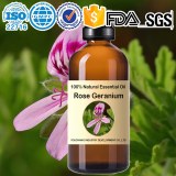 Factory wholesale Rose geranium (Pelargonium graveolens）Essential Oil 100%Natural