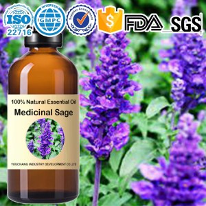 Factory wholesale Medicinal Sage Essential Oil-Salvia officinalis 100%Natural