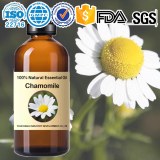 Factory wholesale German Chamomile Essential Oil - Matricaria recutita 100%Natural