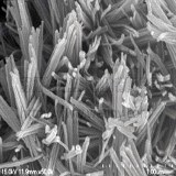 Sell Copper oxide nanorods Copper oxide nanowires CuO CAS: 1317-38-0