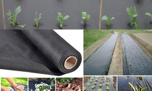 Nonwoven Fabric Used in Agriculture