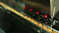 Croissant Bread Injector Bakery Filling Machine for Buns-Yufeng