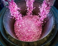 Organic Moroccan Rose Water – 100% Pure Hydrosol | Bulk & Private Label